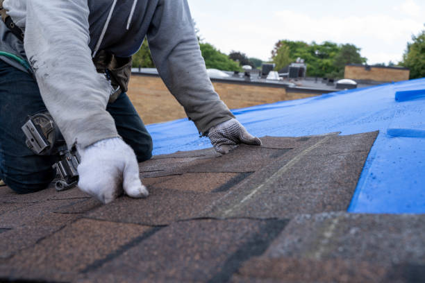 Best Roof Waterproofing Services  in French Mp, CA