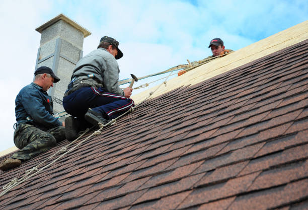 Best Roof Repair Specialists  in French Mp, CA